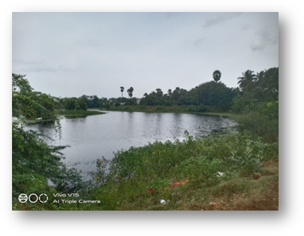 ஆசீவகம் 2.jpeg
